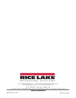 Preview for 40 page of Rice Lake Dyna-Link 2 MSI-7300 Technical Manual