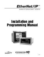 Rice Lake EtherNet/ IP Installation And Programming Manual предпросмотр