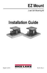 Rice Lake EZ Mount Installation Manual preview