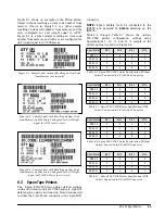 Предварительный просмотр 36 страницы Rice Lake IQ9500 Installation Manual