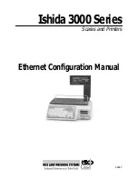 Предварительный просмотр 1 страницы Rice Lake Ishida 3000 Series Configuration Manual