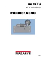 Rice Lake MASTER 421 Installation Manual preview