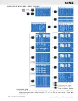 Предварительный просмотр 41 страницы Rice Lake Measurement Systems International MSI9750A Operator'S Manual