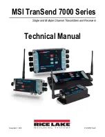 Rice Lake MSI-8000 Technical Manual preview