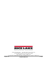 Preview for 20 page of Rice Lake Port-A-Weigh Plus MSI-4300 Technical Manual