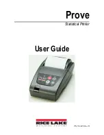 Rice Lake Prove User Manual preview