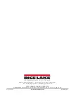 Preview for 80 page of Rice Lake Revolution 680 Synergy Plus Technical Manual