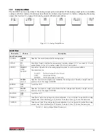 Preview for 29 page of Rice Lake Revolution SURVIVOR 420HE Installation Manual