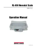 Rice Lake RL-650 Series Operation Manual предпросмотр