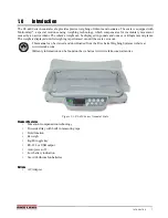 Предварительный просмотр 5 страницы Rice Lake RL-650 Series Operation Manual