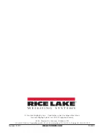 Предварительный просмотр 16 страницы Rice Lake RL-MPS-40 Operation Manual