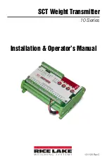 Rice Lake SCT-10 Series Installation & Operator'S Manual preview