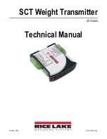 Rice Lake SCT20-AN Technical Manual preview