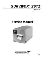 Rice Lake SURVIVOR SST2 Service Manual preview