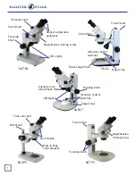 Предварительный просмотр 2 страницы Richter Optica S6-BL Instructions Manual