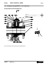 Preview for 15 page of Richter BVA/F Series Installation And Operating Manual