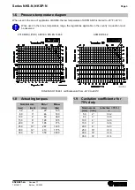 Предварительный просмотр 6 страницы Richter NKS-N Series Installation And Operating Manual