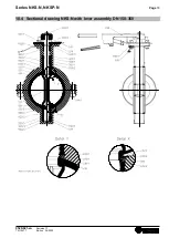 Предварительный просмотр 18 страницы Richter NKS-N Series Installation And Operating Manual