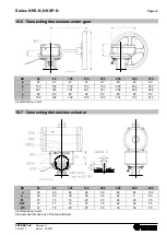 Предварительный просмотр 20 страницы Richter NKS-N Series Installation And Operating Manual