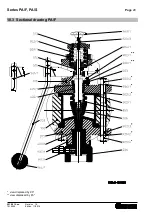 Preview for 20 page of Richter PA/F Series Installation And Operating Manual