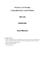 Ricoh DHSB-R40 User Manual preview