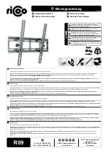 ricoo 10328 Assembly Instructions Manual предпросмотр