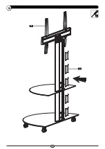 Предварительный просмотр 13 страницы ricoo FS0502 Assembly Instructions Manual