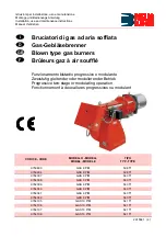 Riello Burners 3753833 Installation, Use And Maintenance Instructions preview