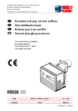 Riello Burners 3756939 Installation, Use And Maintenance Instructions preview