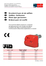 Preview for 1 page of Riello Burners 3781012 Installation, Use And Maintenance Instructions