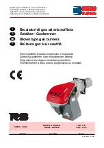 Preview for 1 page of Riello Burners 3787611 Installation, Use And Maintenance Instructions