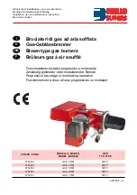 Предварительный просмотр 1 страницы Riello Burners GAS 3 P/M Installation, Use And Maintenance Instructions