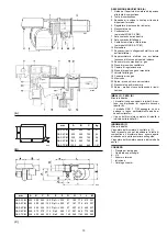 Предварительный просмотр 10 страницы Riello Burners GAS 3 P/M Installation, Use And Maintenance Instructions