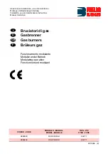 Preview for 1 page of Riello Burners RS 300/E BLU Installation, Use And Maintenance Instructions