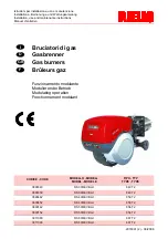 Preview for 1 page of Riello Burners RS 300/EV BLU Installation, Use And Maintenance Instructions