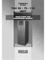 Riello 20011771 Installation And Maintenance Manual preview