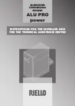 Preview for 1 page of Riello 20020843 Instructions For The Installer And The Technical Assistance Centre