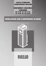 Preview for 1 page of Riello 20044966 Installation And Maintenance Manual