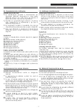 Preview for 19 page of Riello 20062238 Instructions Manual