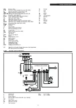 Предварительный просмотр 29 страницы Riello 20145980 Installation And Maintenance Manual