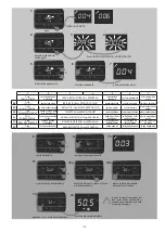 Предварительный просмотр 113 страницы Riello 20197878 Installer And User Manual