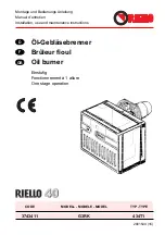 Riello 3743411 Installation, Use And Maintenance Instructions preview