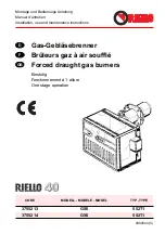 Riello 3755213 Installation, Use And Maintenance Instructions preview