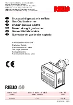 Preview for 1 page of Riello 3756435 Installation, Use And Maintenance Instructions