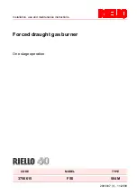 Preview for 1 page of Riello 3756615 Installation, Use And Maintenance Instructions