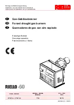 Riello 3756704 Installation, Use And Maintenance Instructions preview