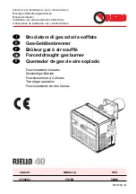 Riello 3759003 Installation, Use And Maintenance Instructions preview