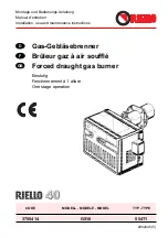 Riello 40 GS10 Installation, Use And Maintenance Instructions preview