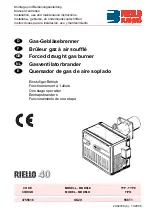 Preview for 1 page of Riello 40 GS20 Installation, Use And Maintenance Instructions