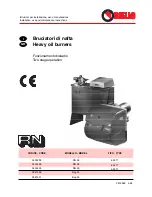 Preview for 1 page of Riello bag 40 Installation, Use And Maintenance Instructions